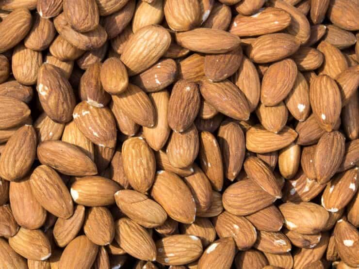 قیمت و خرید بادام درختی خام + فروش ارزان